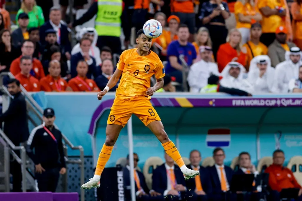 Nederländerna mot Argentina: Kvartsfinal - FIFA World Cup Qatar 2022' title='Vilken position spelar Cody Gakpo när Liverpool ska slutföra affären?